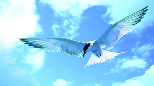 洛陽興罡石化設備有限公司